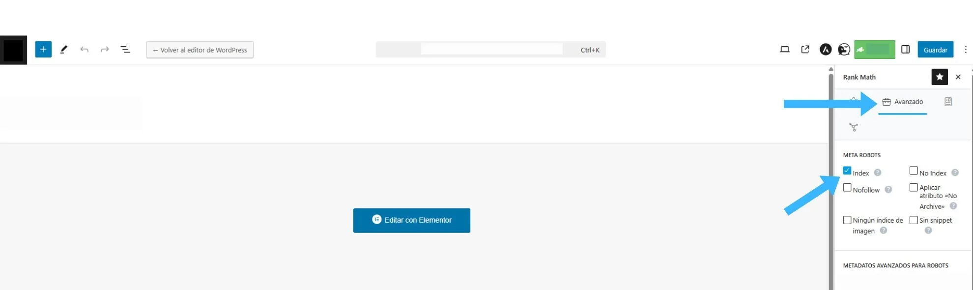 Etiquetas noindex en tus páginas