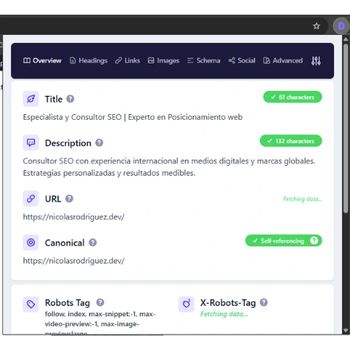 Detailed SEO Extension 1