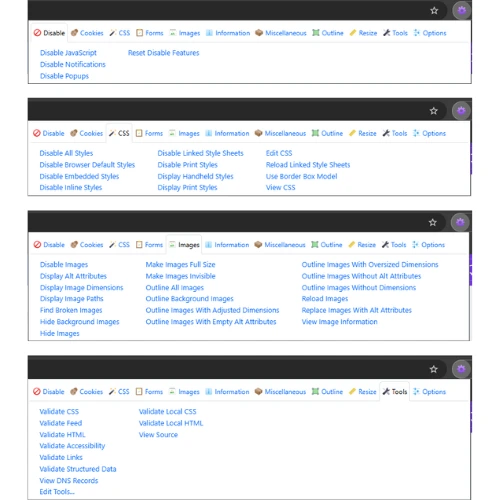 Web Developer 1