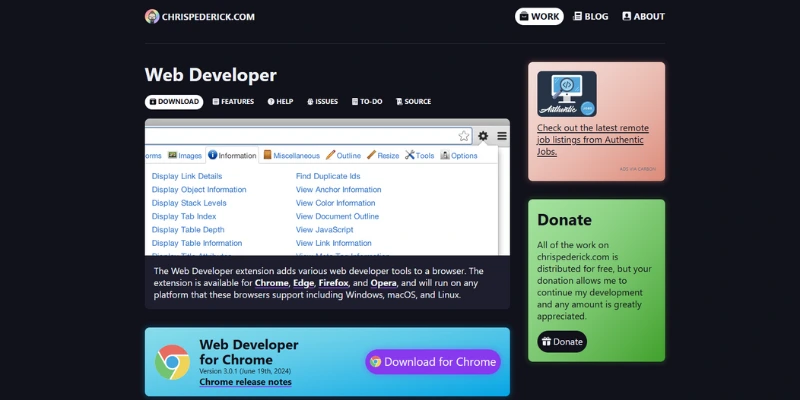 Web Developer