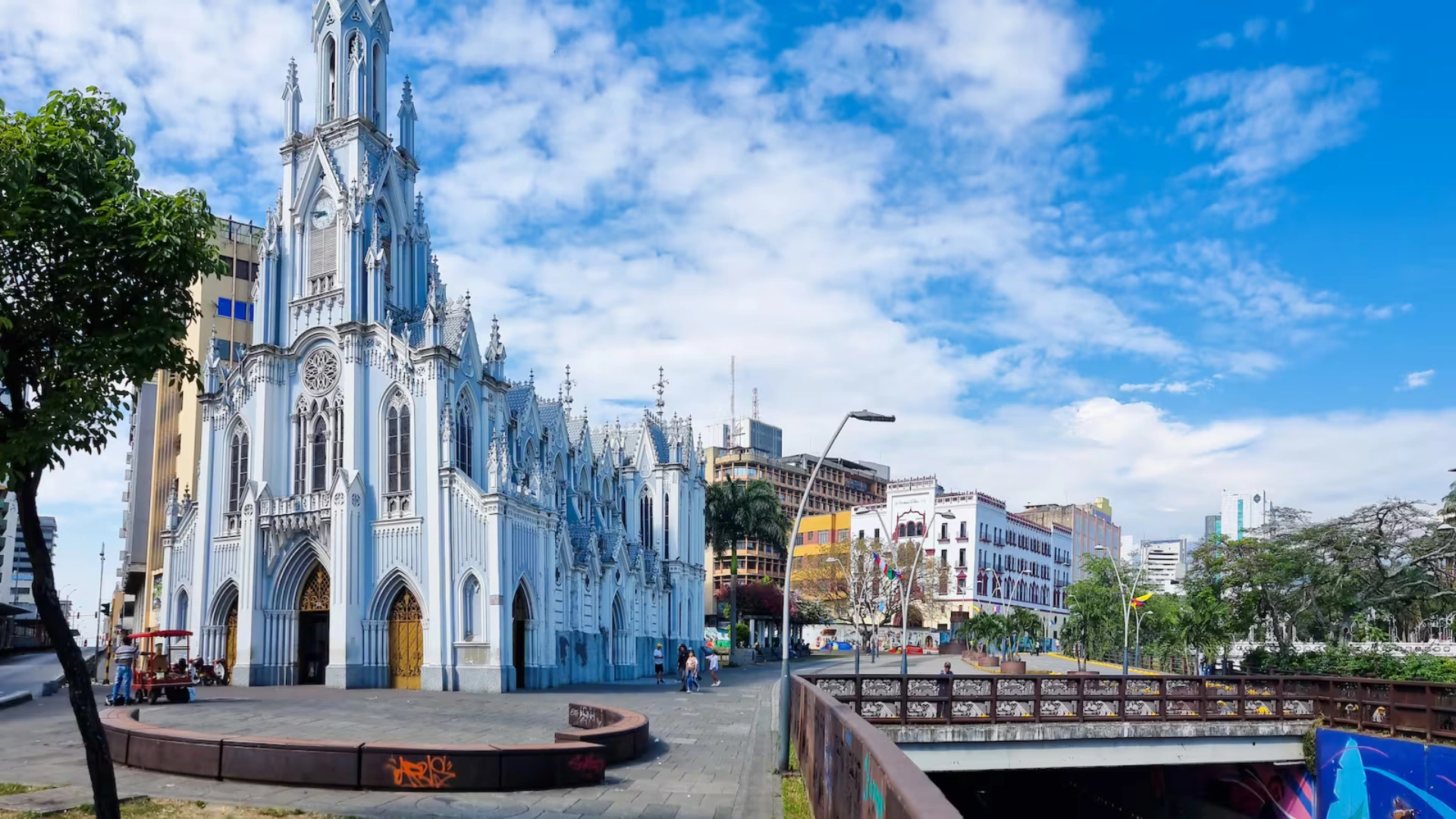 Consultor de Marketing Digital en Cali