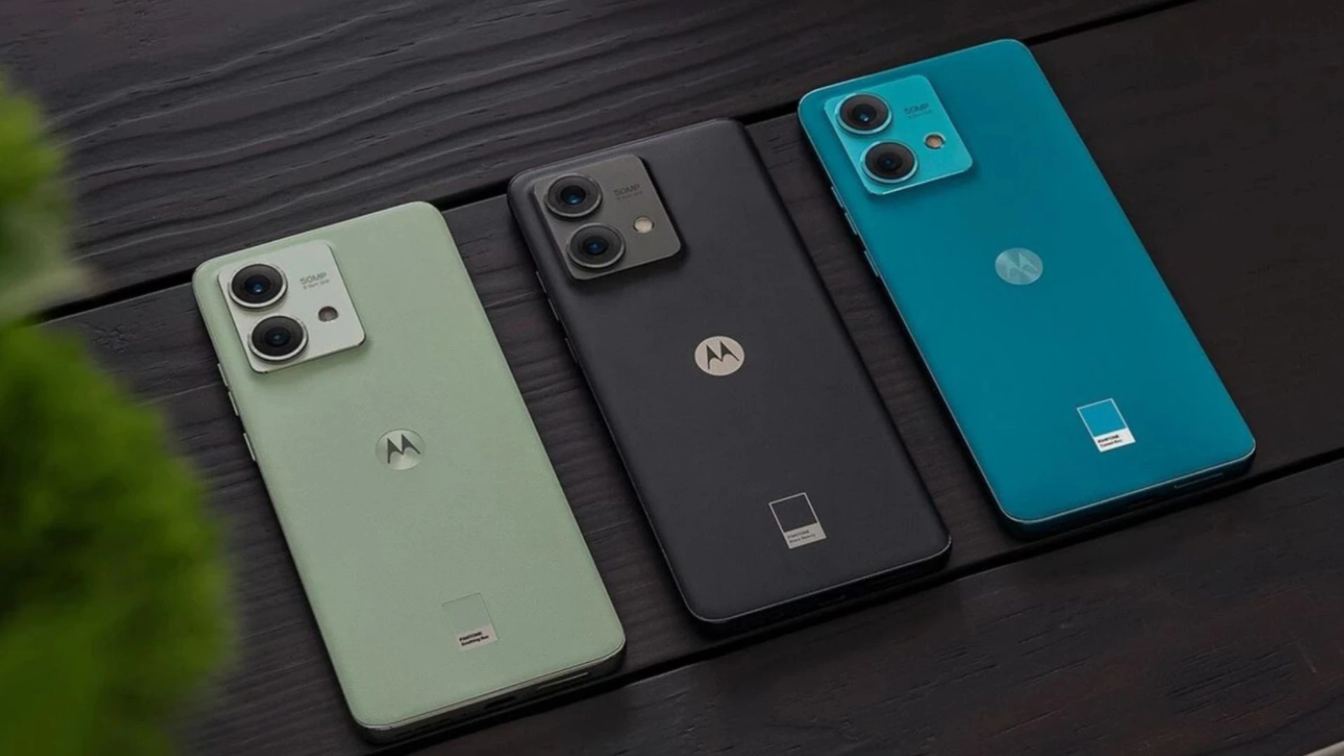 Caso de Éxito SEO y Diseño Web De 0 a 9.300 visitasmes en un E-commerce